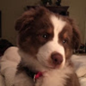 Meet your Posher, Christy